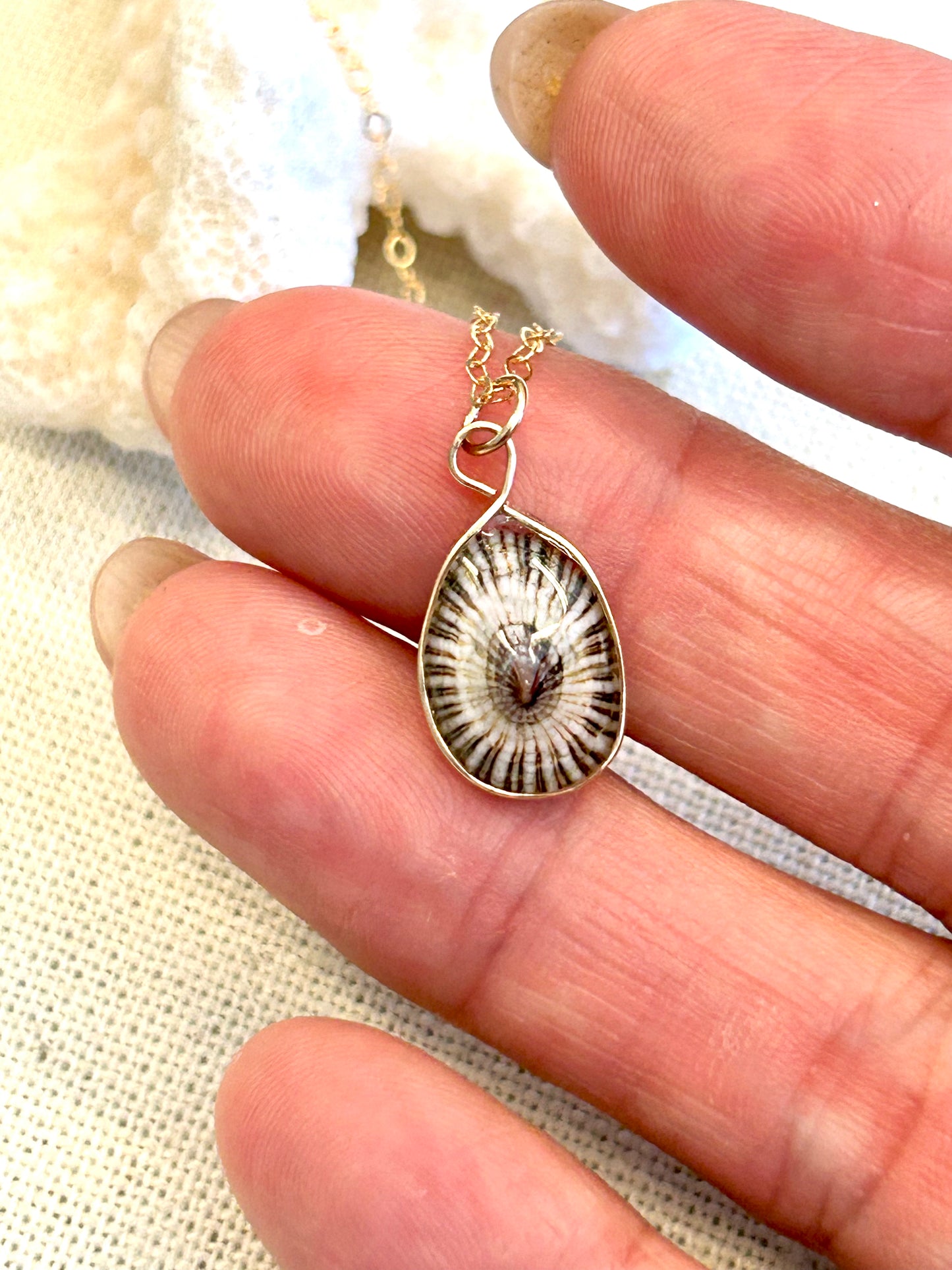 Tiny Opihi Necklace