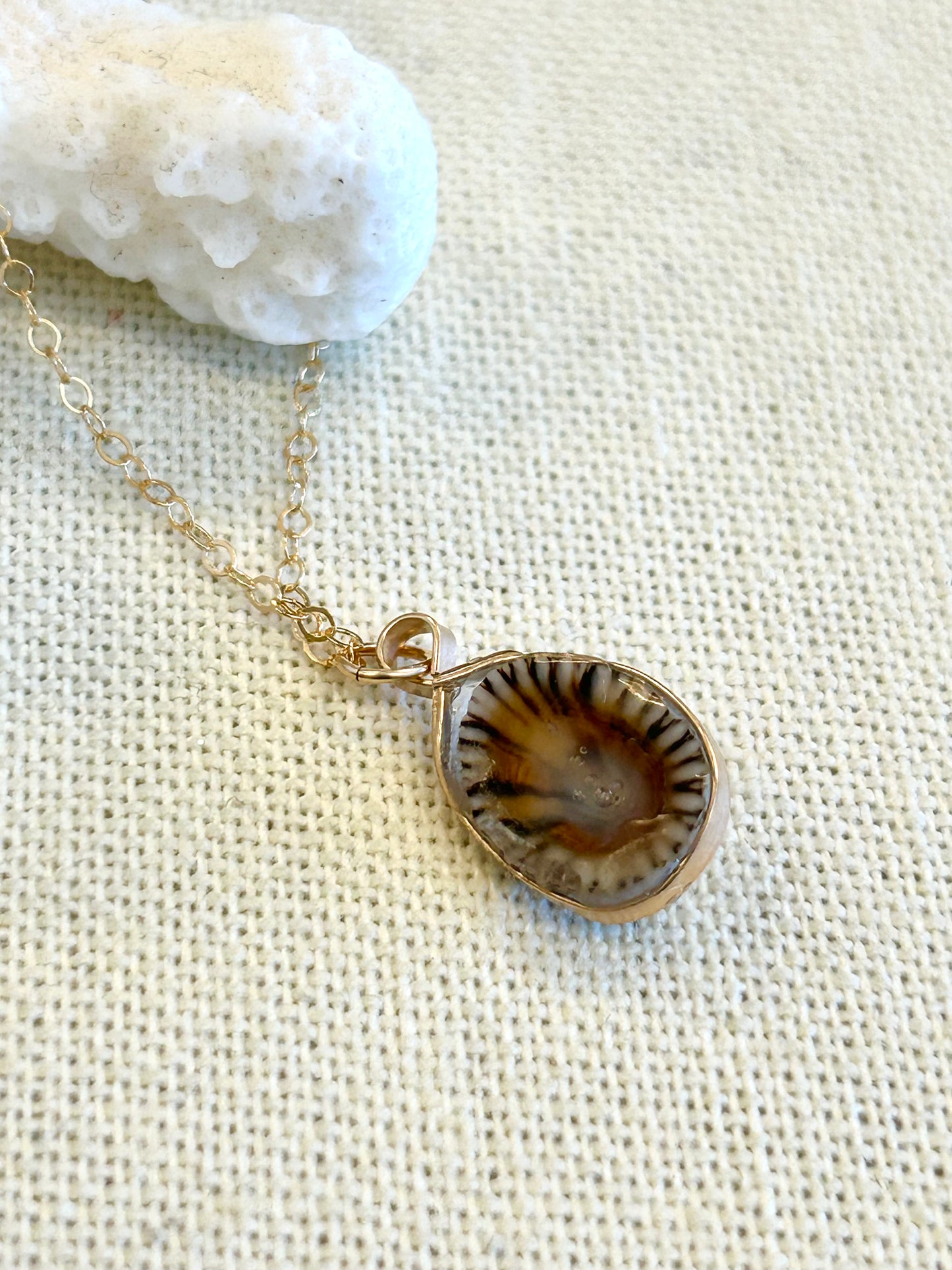 Tiny Opihi Necklace