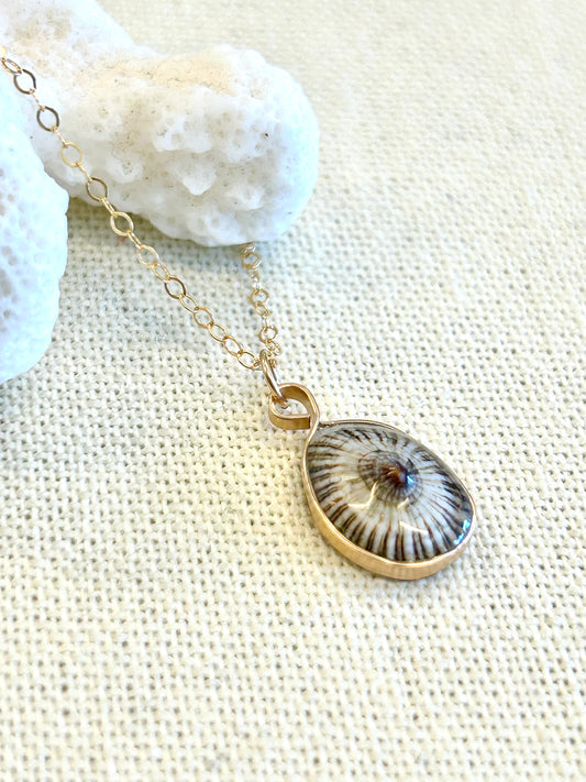 Tiny Opihi Necklace